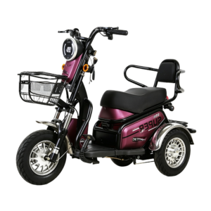 Household electric tricycle