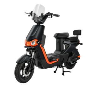 Electric Bicycle