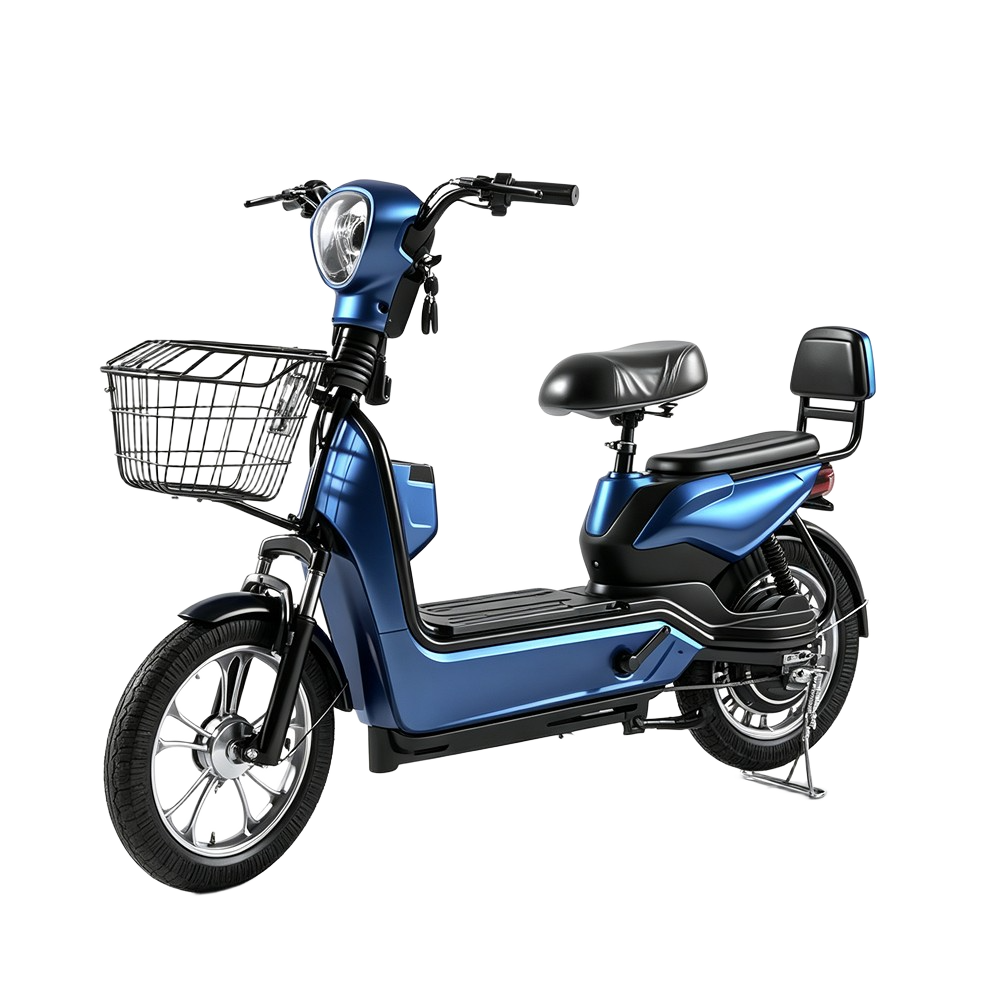 Adult Urban Electric Bicycle